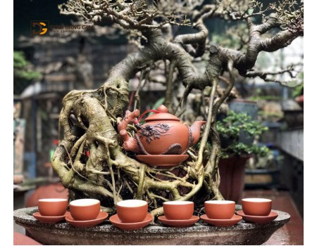 Bộ ấm chén tử sa đắp tay, đắp nổi hoa S4 Bộ ấm chén tử sa đắp tay, đắp nổi hoa S4