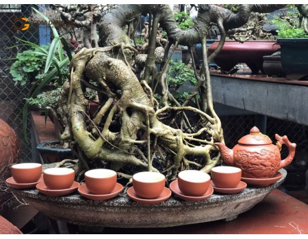 Bộ ấm chén tử sa đắp tay men nâu, khắc nổi hoa S1 Bộ ấm chén tử sa đắp tay men nâu, khắc nổi hoa S1